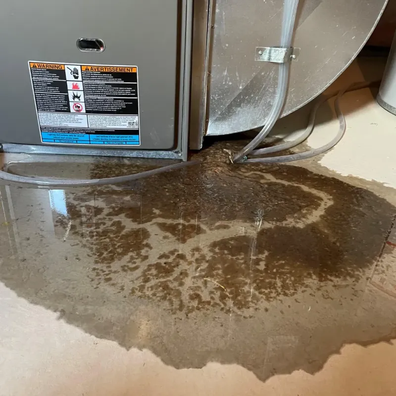 Appliance Leak Cleanup in Rocky River, OH